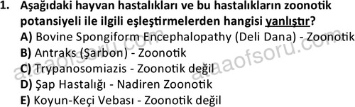 ata laborantvet 1960 1