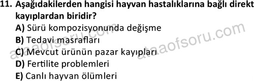 ata laborantvet 1960 11