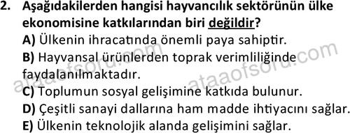 ata laborantvet 1960 2