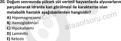 ata laborantvet 1960 20