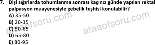 ata laborantvet 1960 7