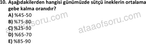 ata laborantvet 1960 10