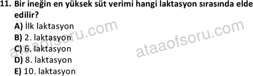 ata laborantvet 1960 11