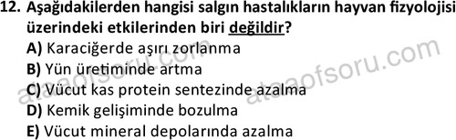ata laborantvet 1960 12