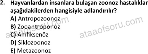 ata laborantvet 1960 2