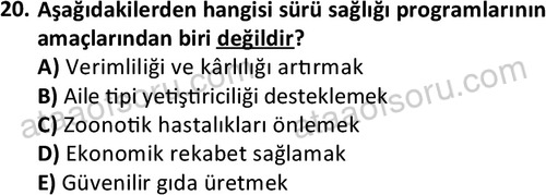 ata laborantvet 1960 20
