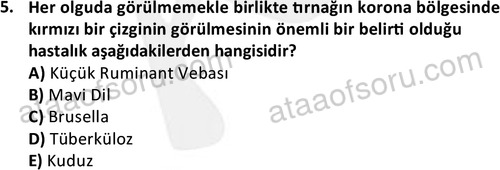ata laborantvet 1960 5