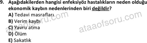 ata laborantvet 1960 9