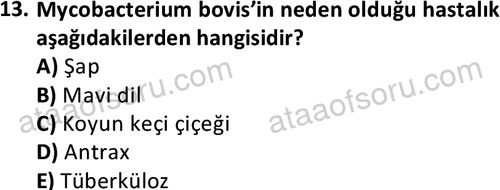 ata laborantvet 1960 13