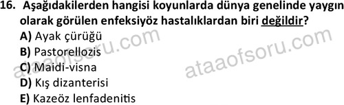 ata laborantvet 1960 16