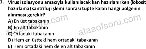 ata laborantvet 1964 1