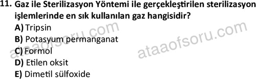 ata laborantvet 1964 11