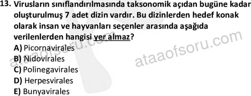 ata laborantvet 1964 13