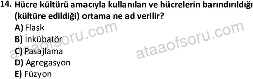 ata laborantvet 1964 14
