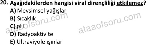 ata laborantvet 1964 20