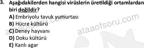 ata laborantvet 1964 3