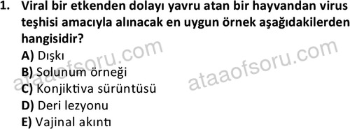 ata laborantvet 1964 1