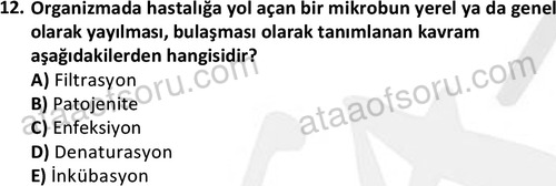 ata laborantvet 1964 12