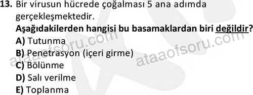 ata laborantvet 1964 13