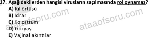ata laborantvet 1964 17