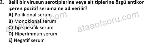 ata laborantvet 1964 2