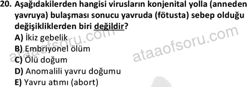 ata laborantvet 1964 20