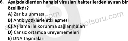ata laborantvet 1964 6