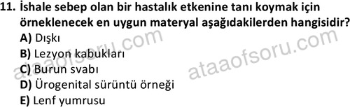 ata laborantvet 1964 11
