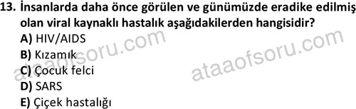 ata laborantvet 1964 13