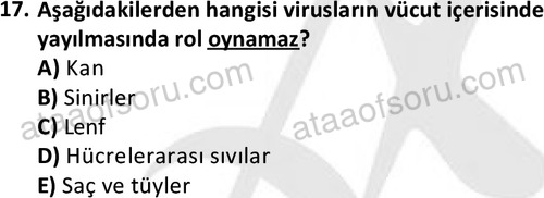 ata laborantvet 1964 17
