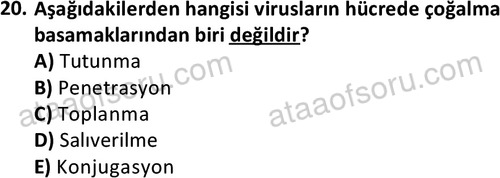 ata laborantvet 1964 20