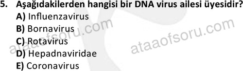 ata laborantvet 1964 5