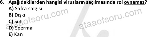 ata laborantvet 1964 6