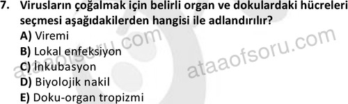ata laborantvet 1964 7