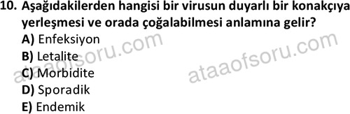 ata laborantvet 1964 10