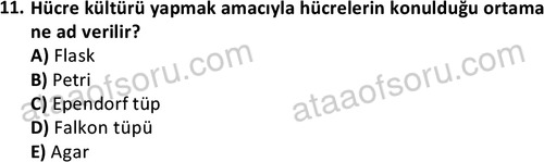 ata laborantvet 1964 11