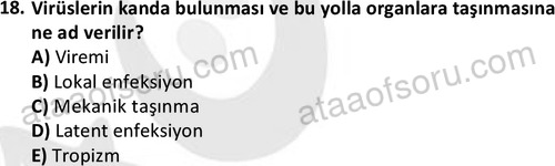 ata laborantvet 1964 18