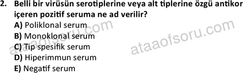 ata laborantvet 1964 2