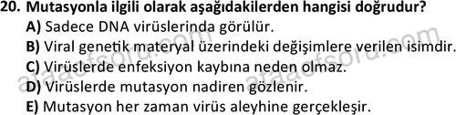 ata laborantvet 1964 20