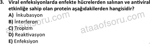 ata laborantvet 1964 3