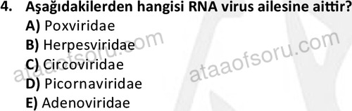 ata laborantvet 1964 4