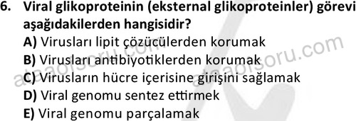 ata laborantvet 1964 6
