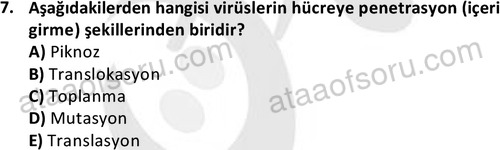 ata laborantvet 1964 7