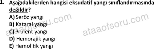 ata laborantvet 1963 1