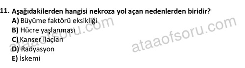 ata laborantvet 1963 11
