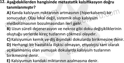 ata laborantvet 1963 12