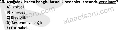 ata laborantvet 1963 13