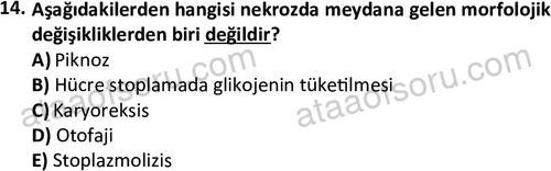 ata laborantvet 1963 14