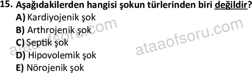 ata laborantvet 1963 15