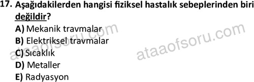 ata laborantvet 1963 17